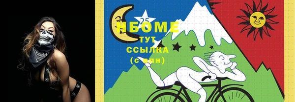 прущий лед Абаза