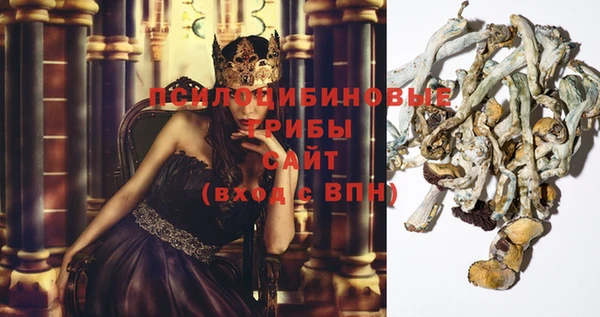 тгк Абдулино