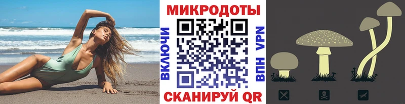 Псилоцибиновые грибы Psilocybe  Туринск 