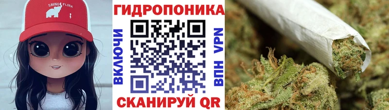 Бошки Шишки гибрид Туринск